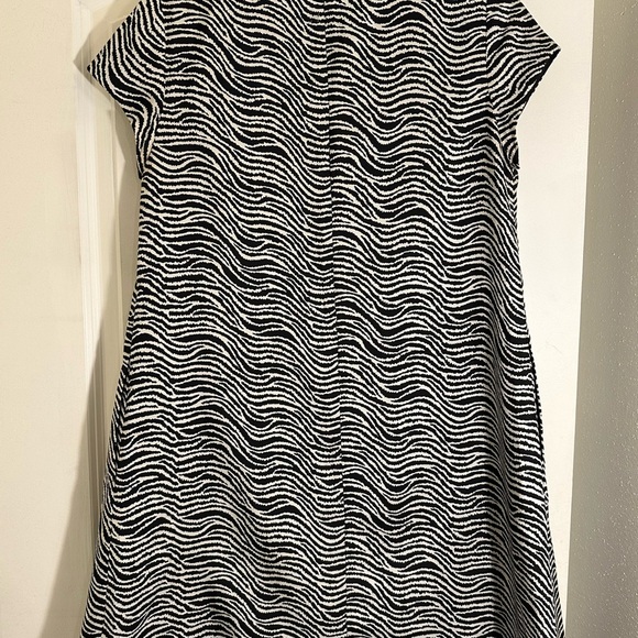 J.McLaughlin Zebra Print Dress - Picture 4 of 8